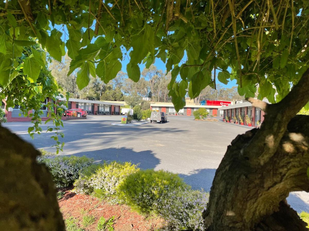 Seymour Motel Eksteriør bilde